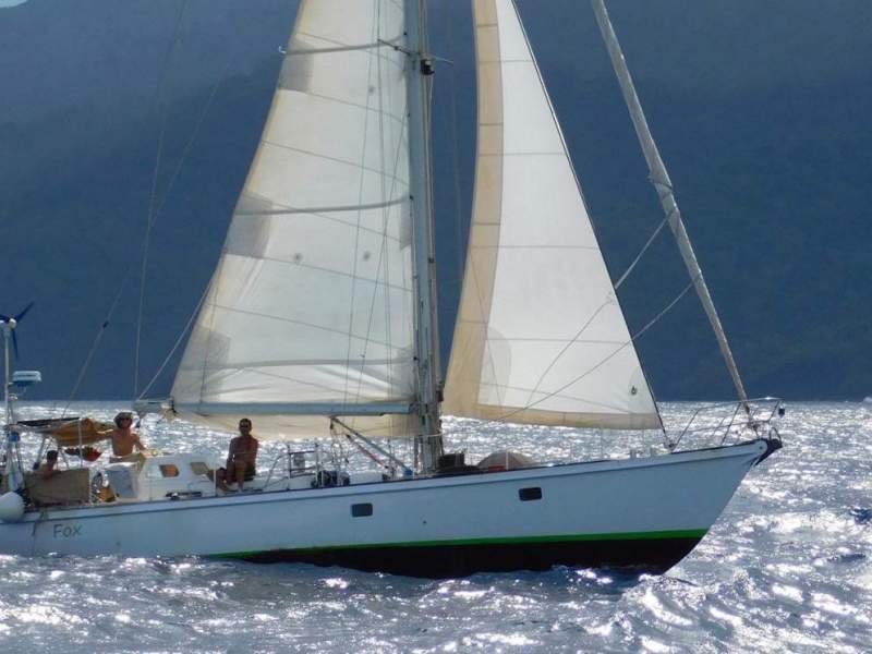 Koopmans 40