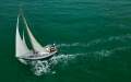 Koopmans 40