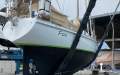 Koopmans 40