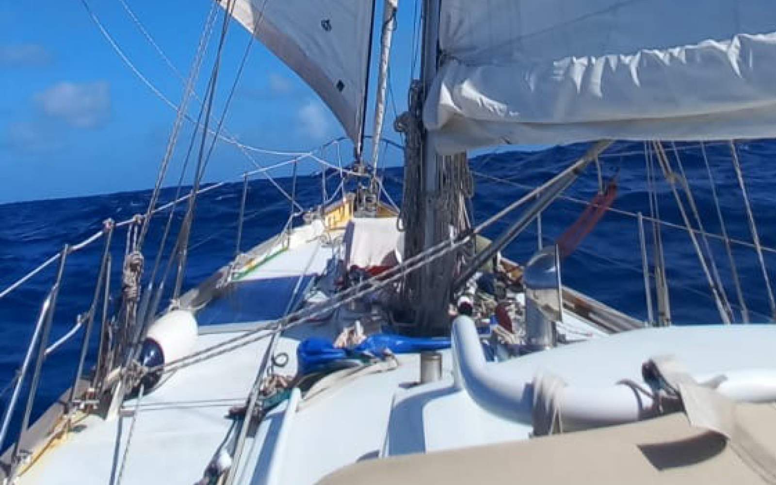 Koopmans 40