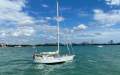 Koopmans 40