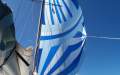 Koopmans 40