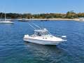 Boston Whaler 305 Conquest