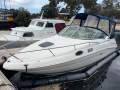 Sea Ray 245 Sundancer - Versatile Cruiser with SeaPen!