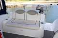 Sea Ray 245 Sundancer - Versatile Cruiser with SeaPen!