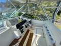 Wellcraft 290 Coastal