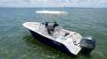 Sea Fox 228 Commander