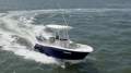 Sea Fox 228 Commander