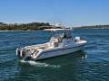 Gulf Craft Walkaround 31 Half Cabin - Perfect for Rottnest Adventures
