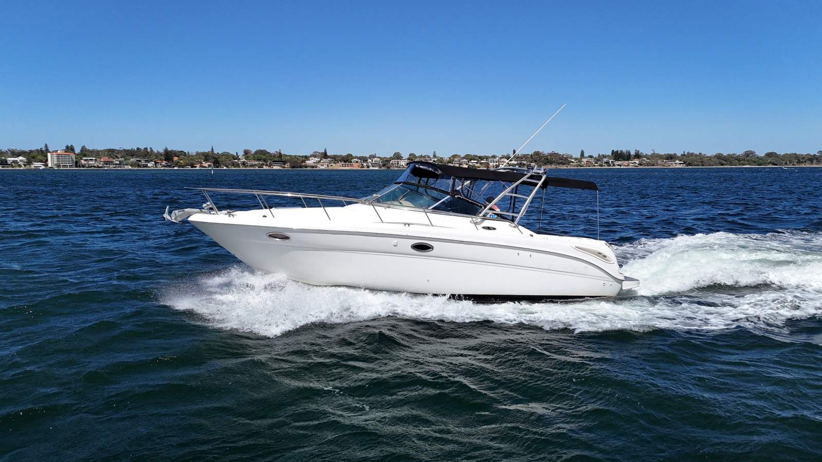 Sea Ray 290 Amberjack