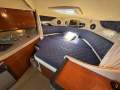 Sea Ray 290 Amberjack