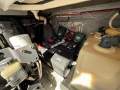 Sea Ray 290 Amberjack