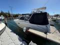 Sea Ray 290 Amberjack