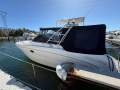 Sea Ray 290 Amberjack