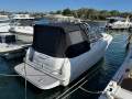 Sea Ray 290 Amberjack