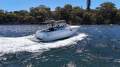 Sea Ray 290 Amberjack