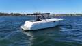 Sea Ray 290 Amberjack