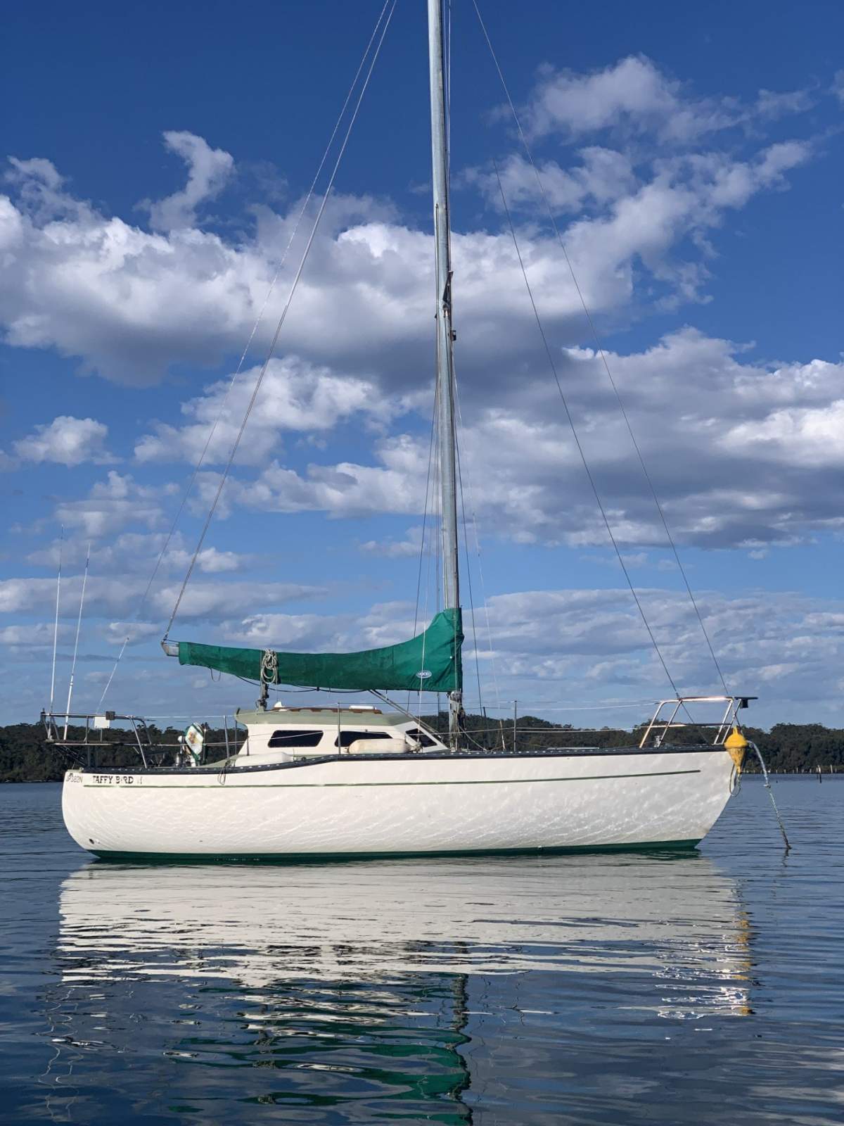 Swanson 28