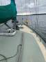Swanson 28