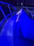 Sabrecraft Walkaround Hardtop - 7.80 Meter, Motor, Trailer and extras package