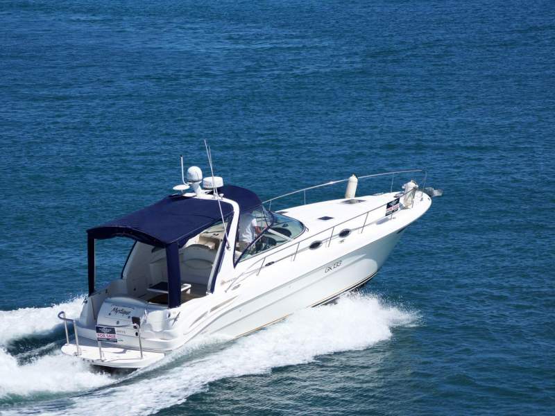 Sea Ray 365