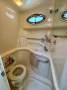 Sea Ray 365 Sundancer Sea Ray 340/ 365 Sundancer in Excellent Condition