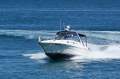 Sea Ray 365 Sundancer Sea Ray 340/ 365 Sundancer in Excellent Condition