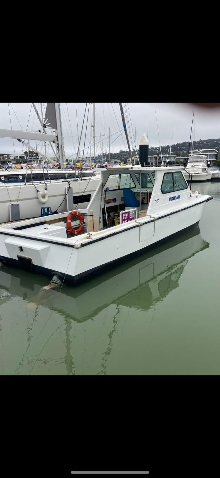 Shark Cat 2800 Shark Cat 2800