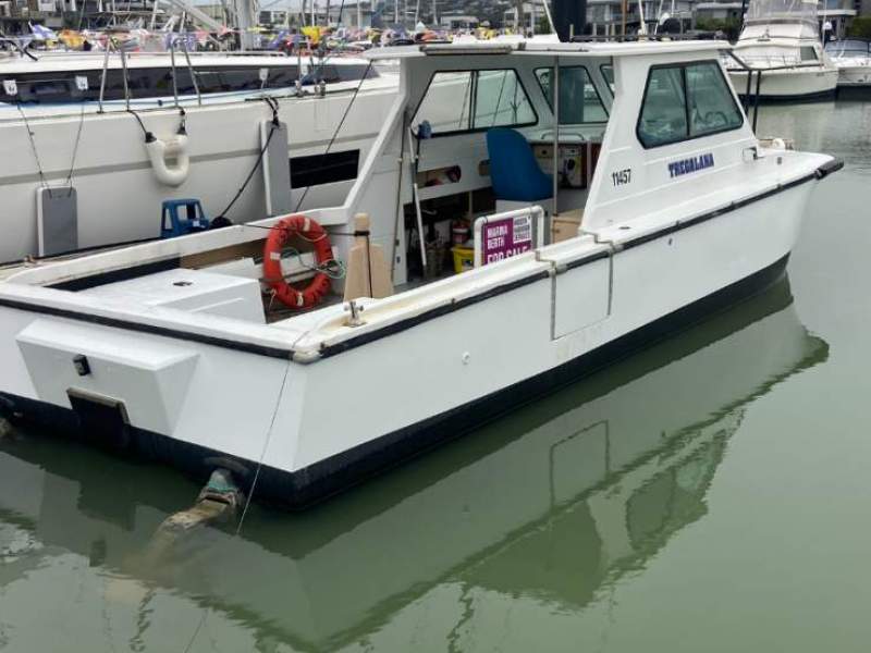 Shark Cat 2800