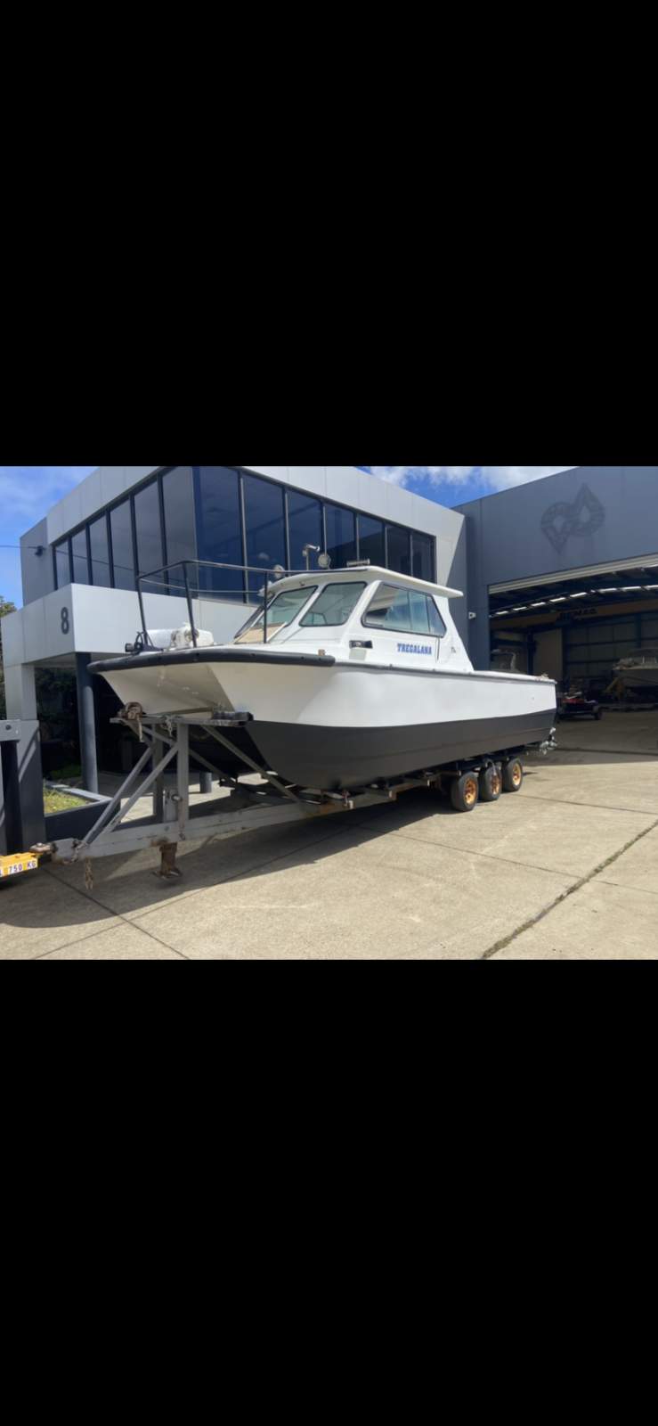 Shark Cat 2800