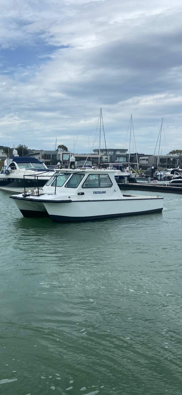 Shark Cat 2800