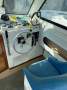 Shark Cat 2800