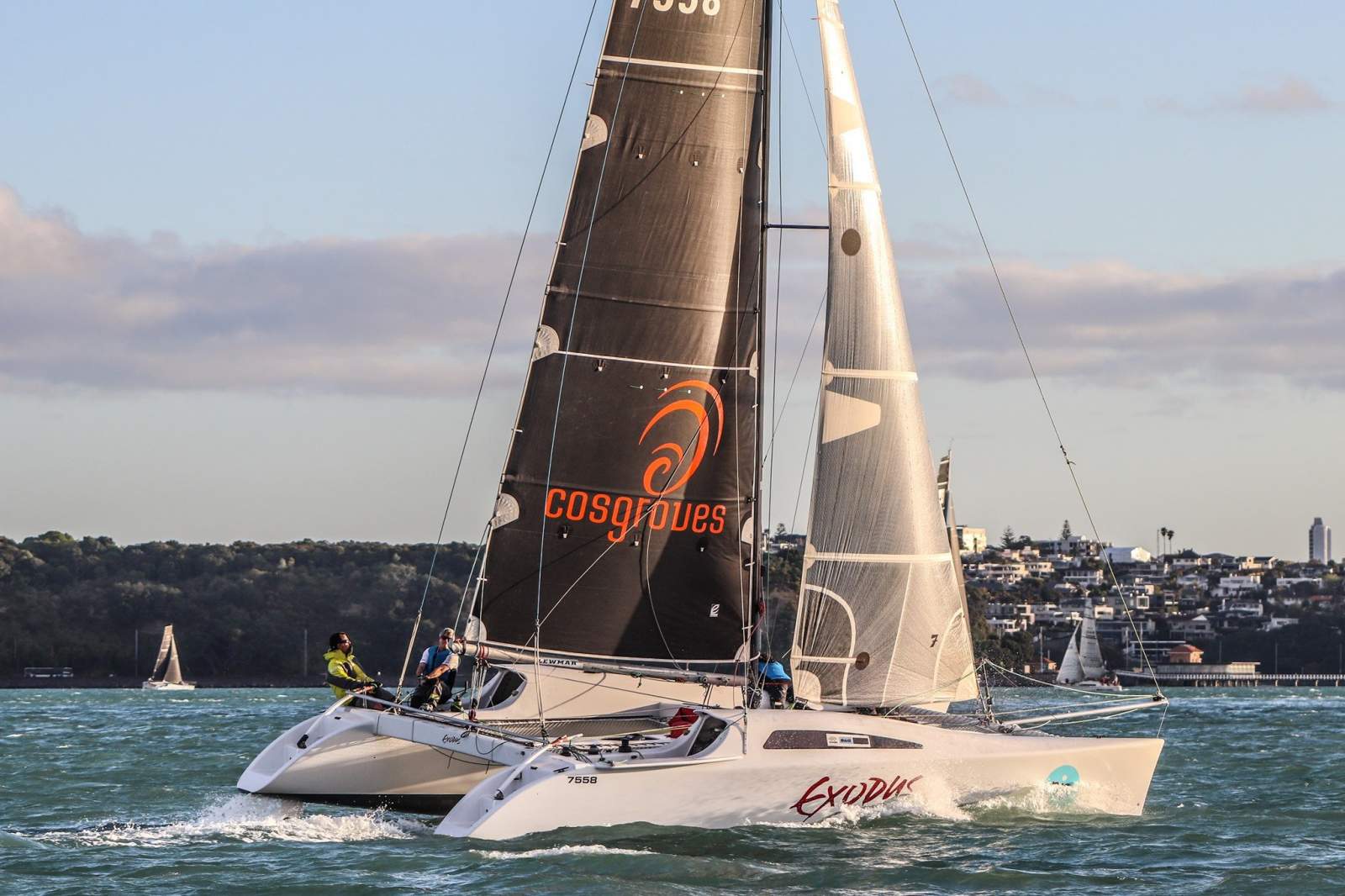 Ron Given 10m Sports Cat
