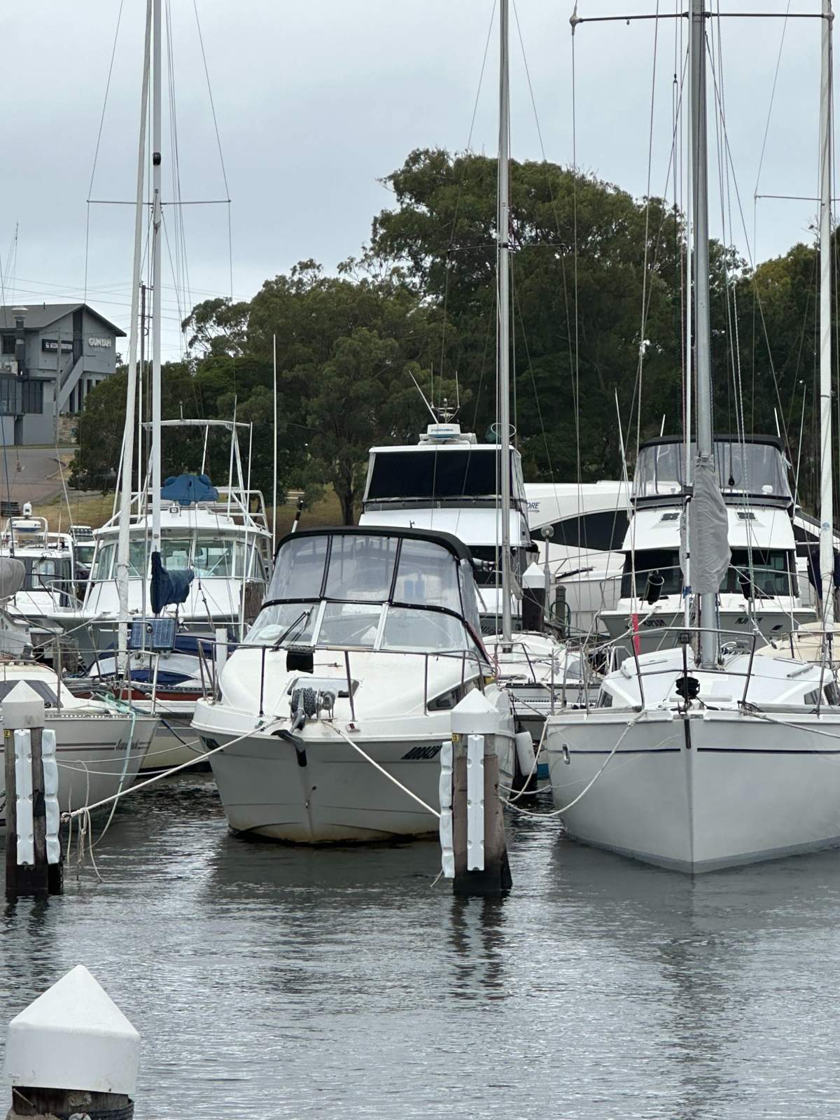 Bayliner 2355 Ciera
