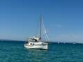 Cayzer Timber Motor Sailer