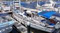Majestic 60 HIGH VOLUME SPACIOUS BLUE WATER CRUISER