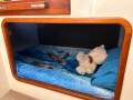 Thomascraft 35 Flybridge