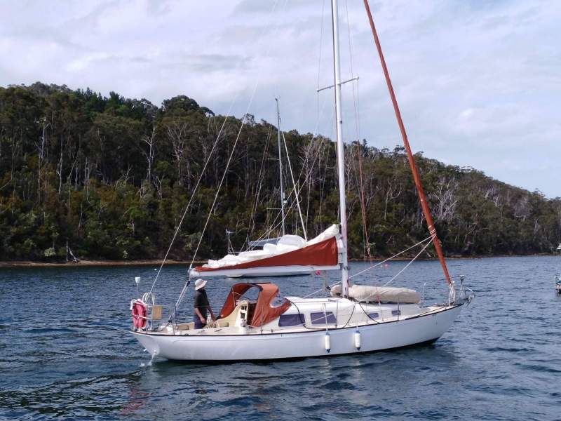 Clansman 30