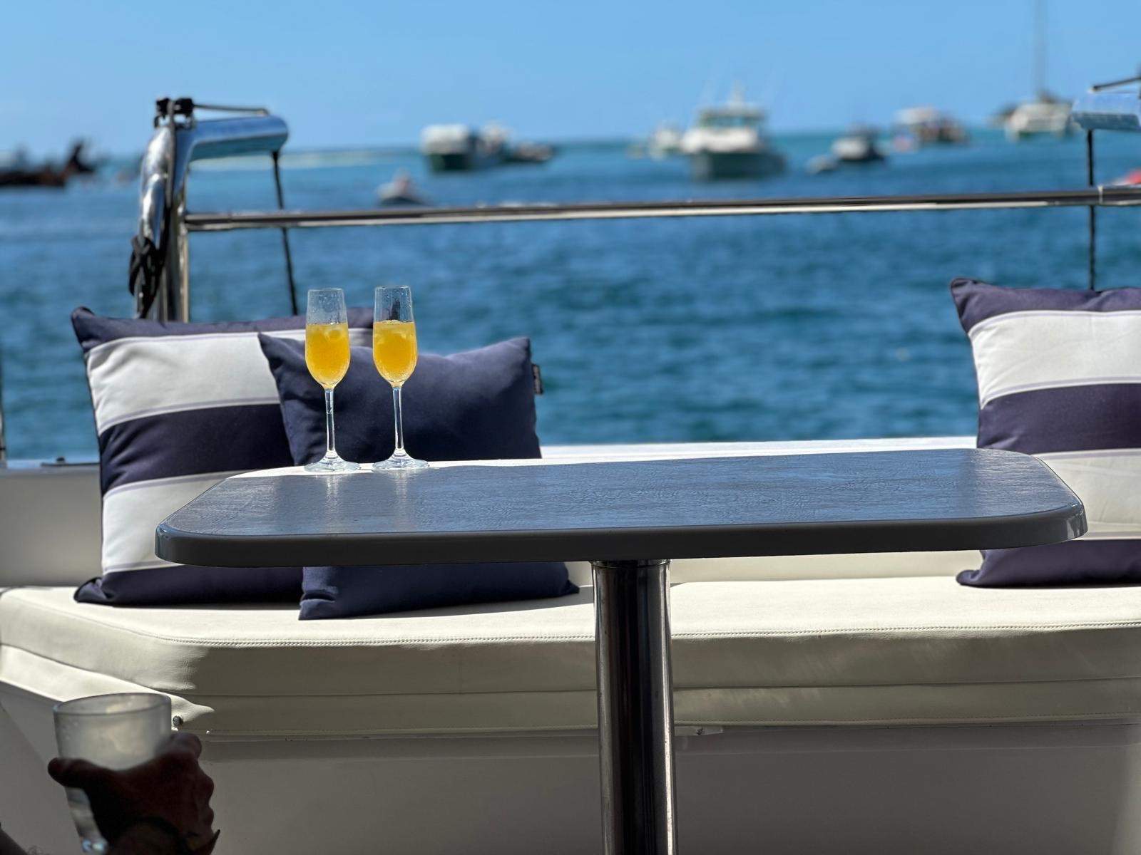 Perry 44.5 Power Catamaran