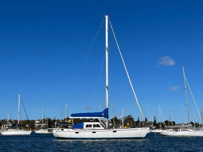 Swanson 42