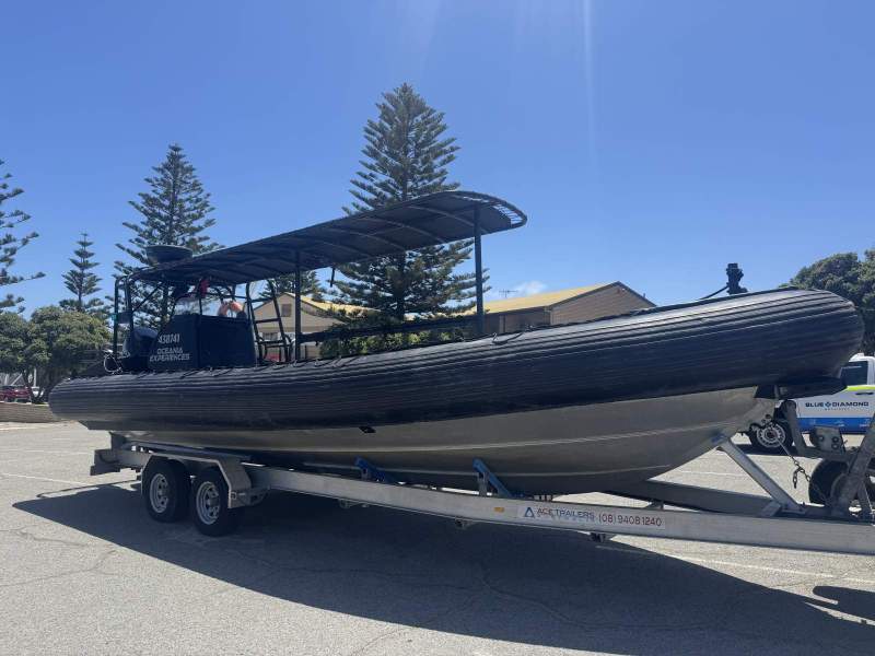 Naiad 10 RIB in commercial survey