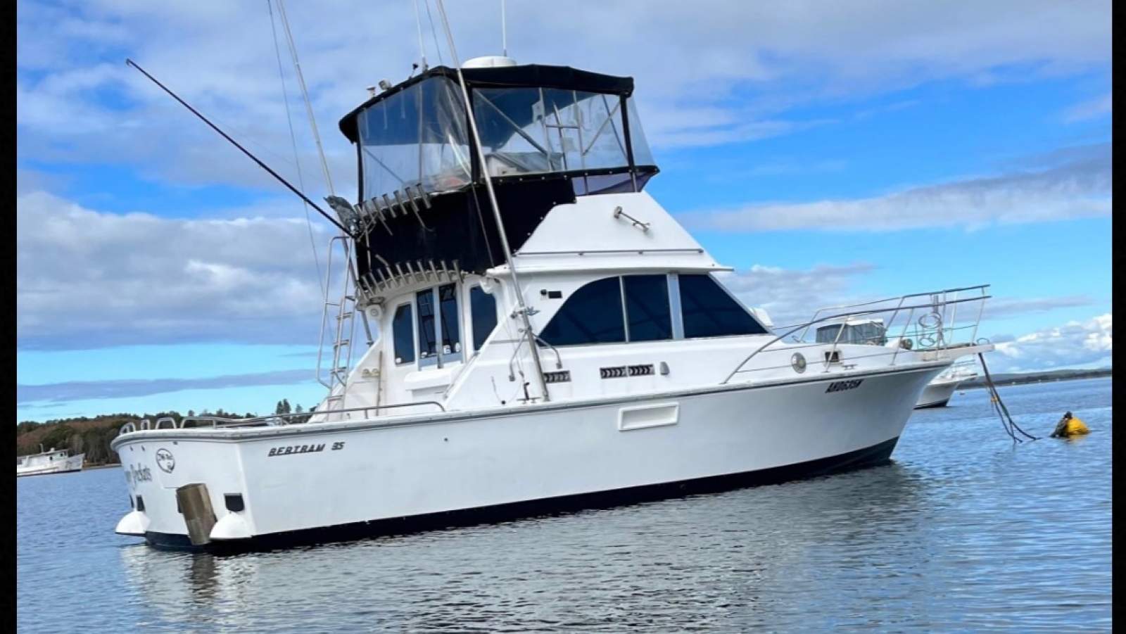 Bertram 35 Flybridge