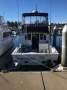 Bertram 35 Flybridge