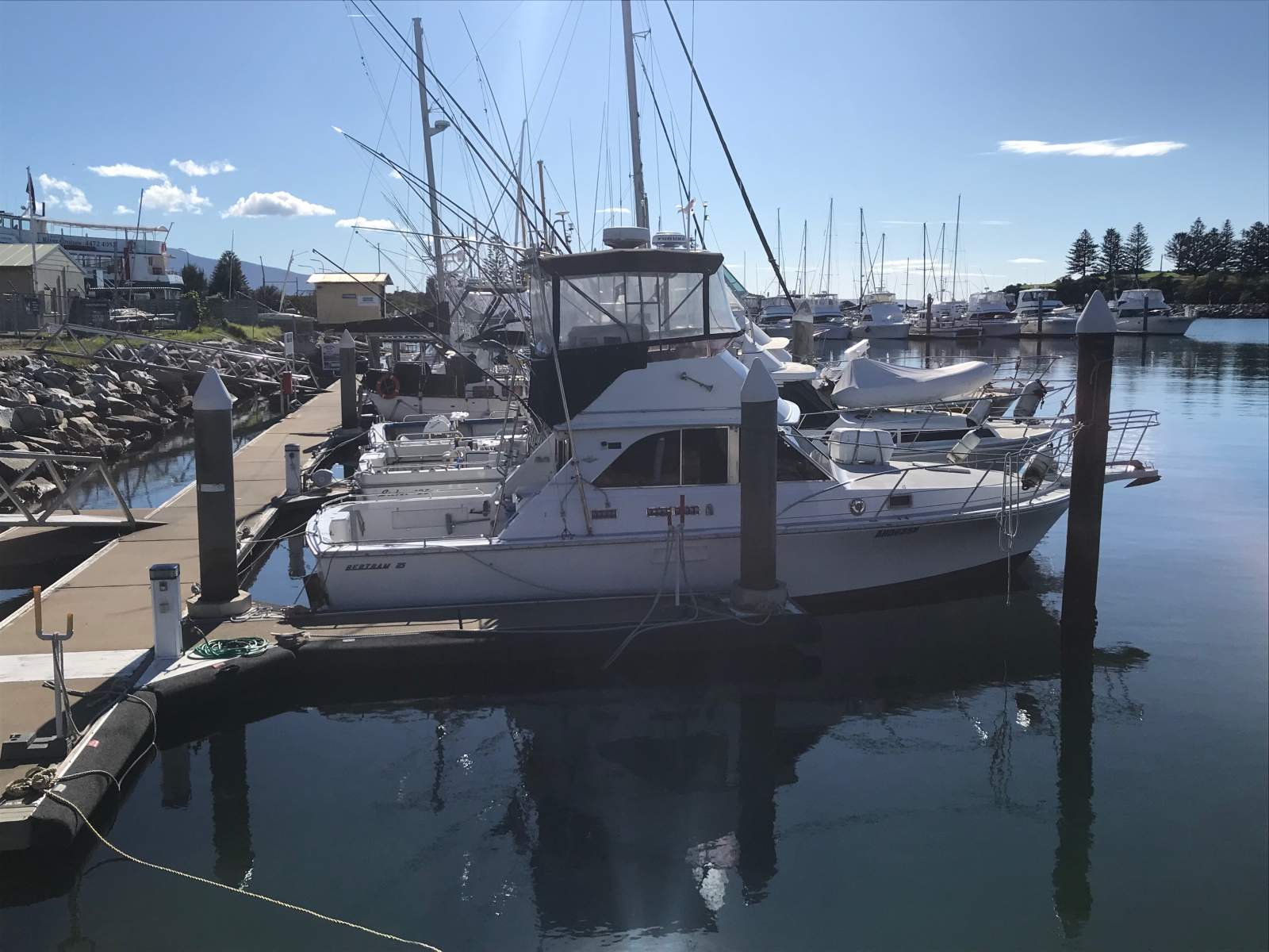 Bertram 35 Flybridge