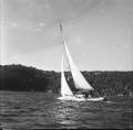 Custom Bluebird 22ft yacht