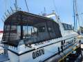 Noosa Cat 3100 Sports Cruiser