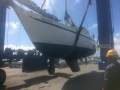 Carib 41