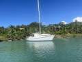 Carib 41