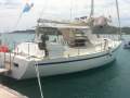 Carib 41