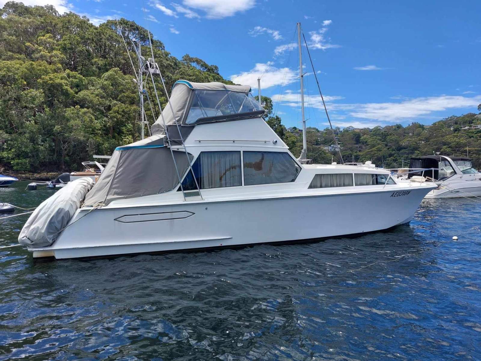 36 ft Timber Cruiser